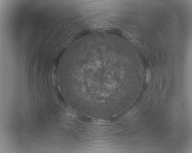 X0000075921059200609291818