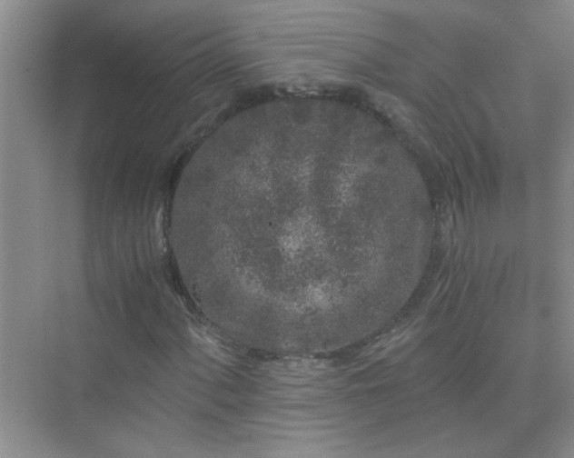 X0000075921060200609291818