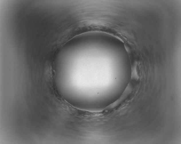 X0000075921061200609291818