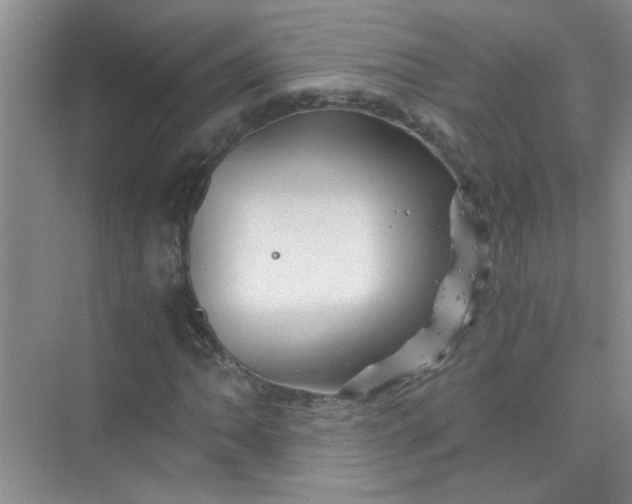 X0000075921062200609291818