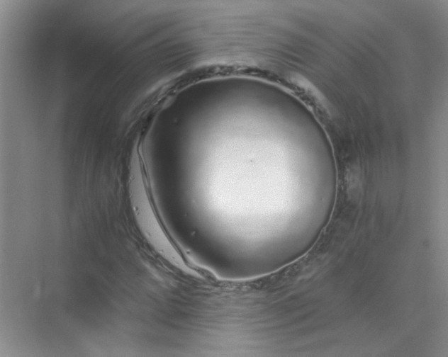 X0000075921064200609291818