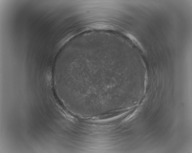 X0000075921065200609291818