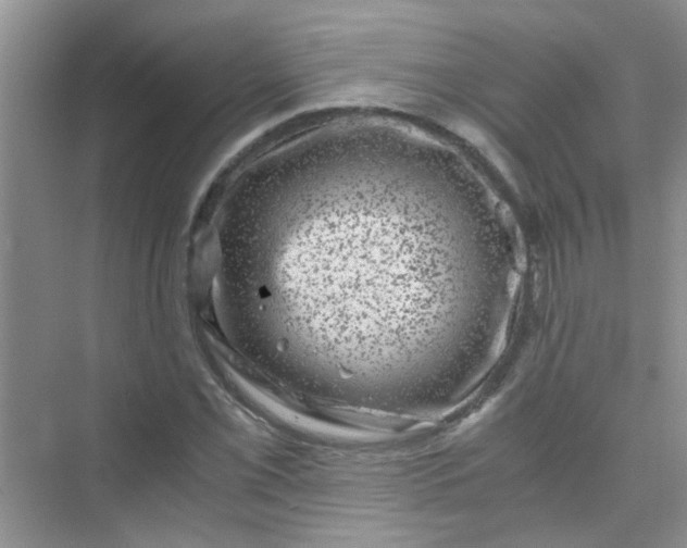 X0000075921069200609291818