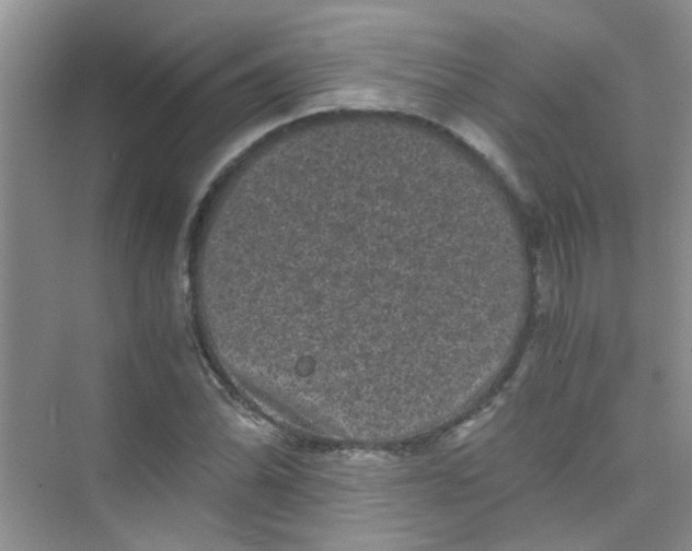 X0000075921070200609291818