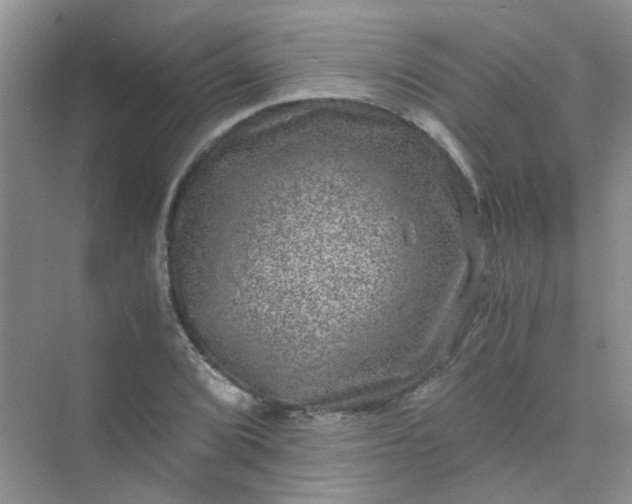 X0000075921072200609291818