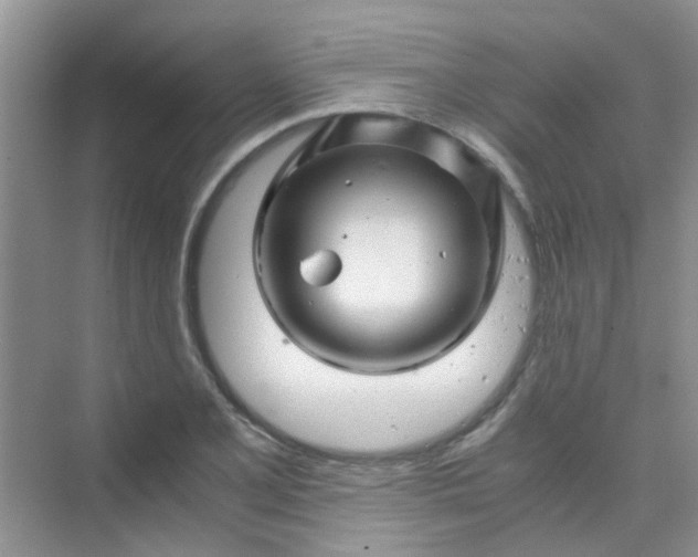 X0000075921077200609291818