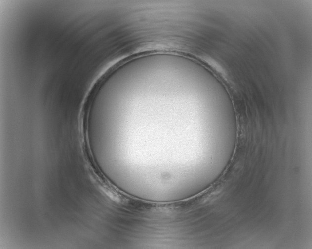 X0000075921078200609291818