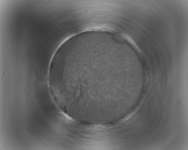 X0000075921079200609291818