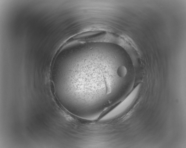 X0000075921081200609291818