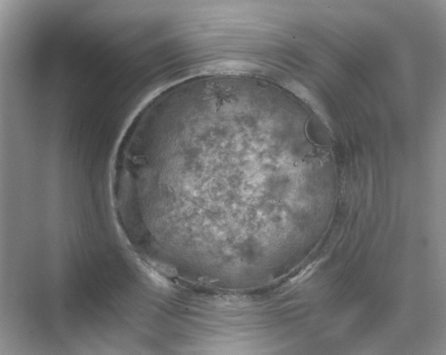 X0000075921083200609291818