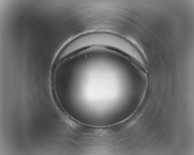 X0000075921085200609291818