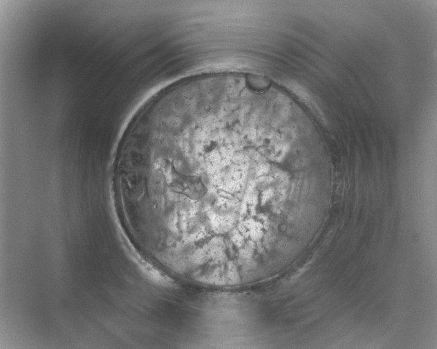 X0000075921086200609291818