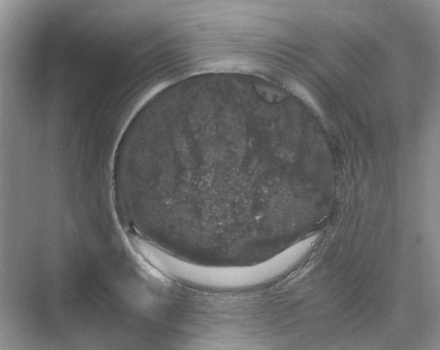 X0000075921087200609291818