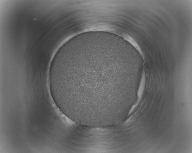 X0000075921088200609291818