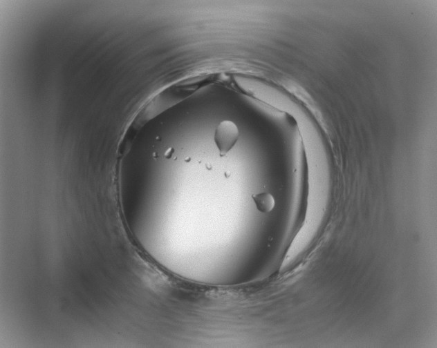 X0000075921089200609291818