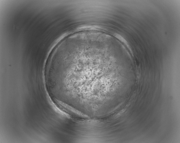 X0000075921090200609291818