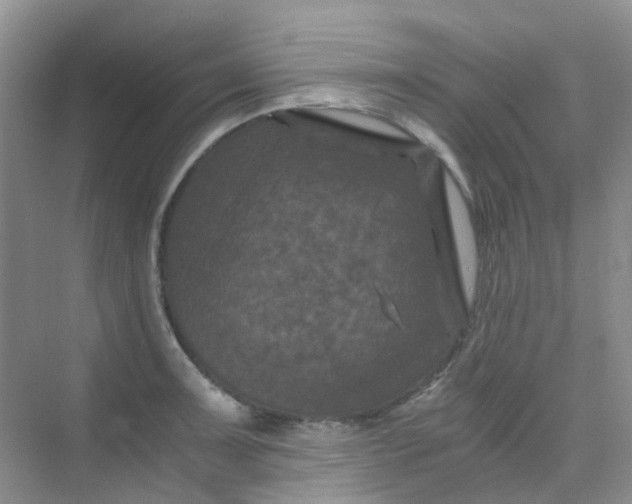 X0000075921091200609291818