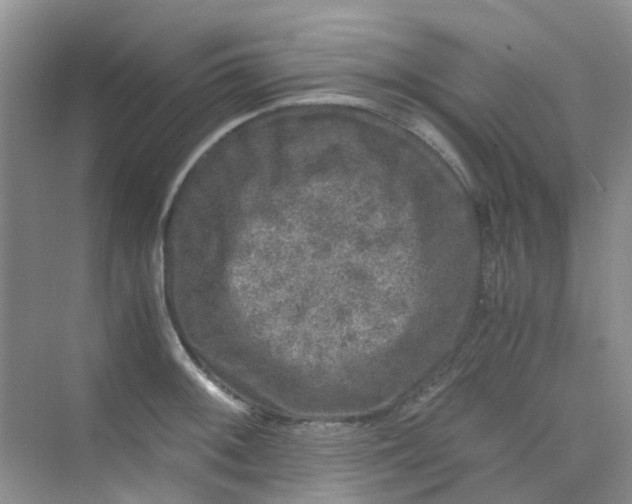 X0000075921092200609291818