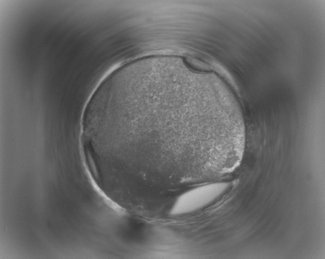 X0000075921095200609291818