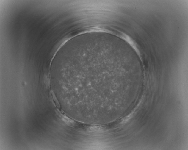 X0000075921097200609291818