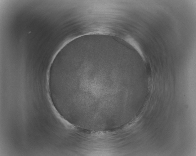 X0000075921099200609291818