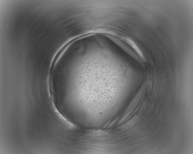 X0000075921100200609291818