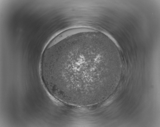 X0000075921101200609291818