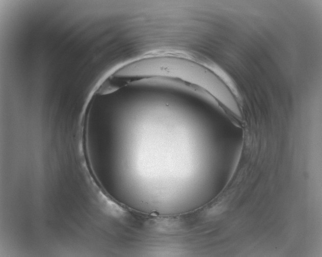 X0000075921102200609291818