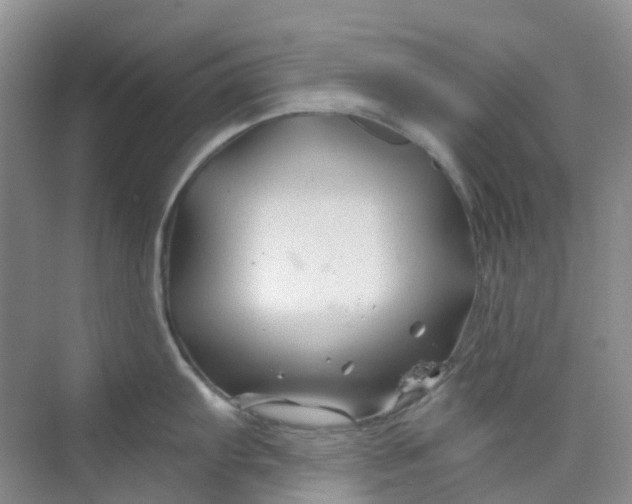 X0000075921103200609291818