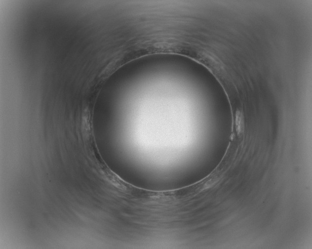 X0000075921107200609291817