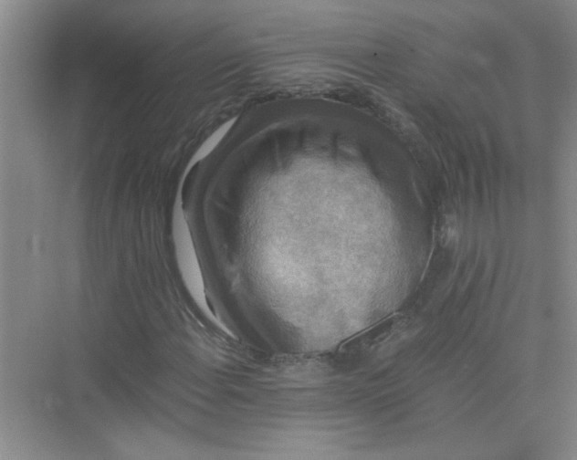 X0000075921108200609291817