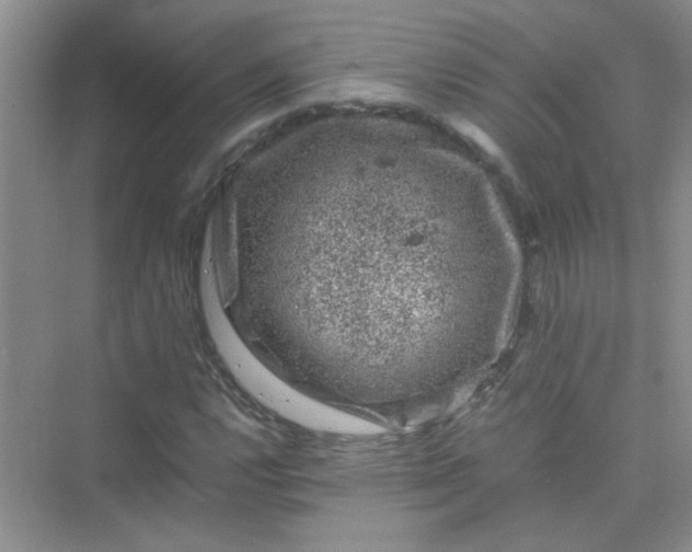 X0000075921112200609291817