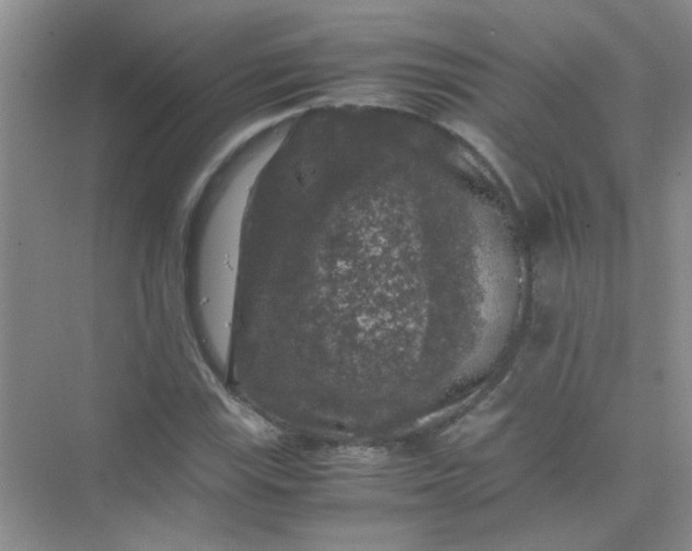 X0000075921115200609291817