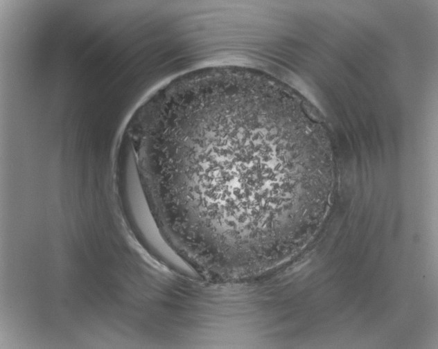 X0000075921116200609291817