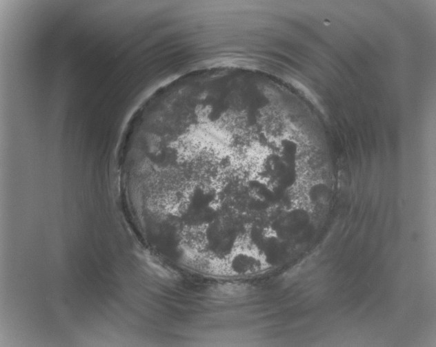 X0000075921117200609291817