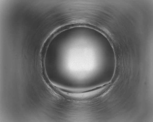 X0000075921118200609291817