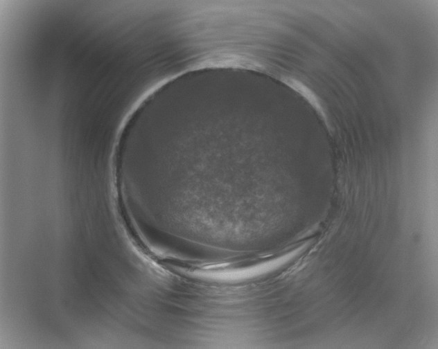 X0000075921120200609291817