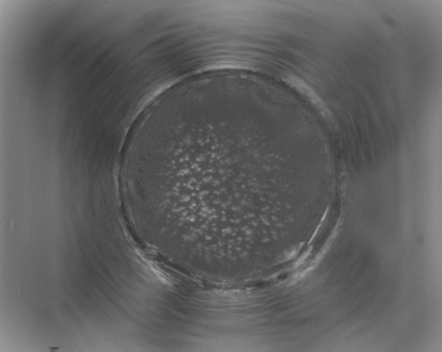 X0000075921121200609291817