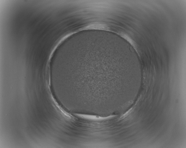 X0000075921123200609291817