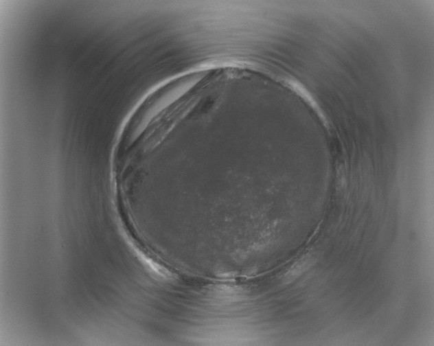 X0000075921124200609291817