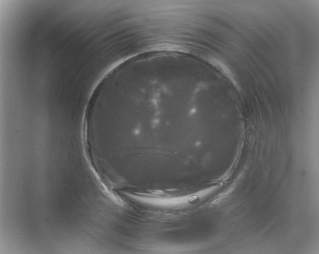 X0000075921125200609291817