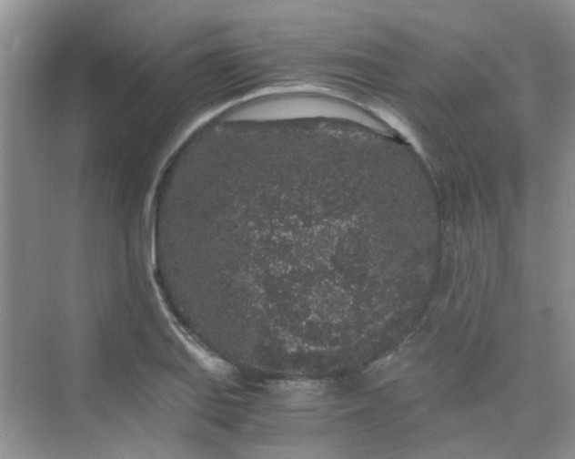 X0000075921127200609291817