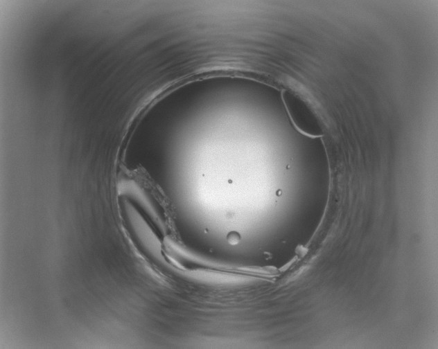 X0000075921129200609291817