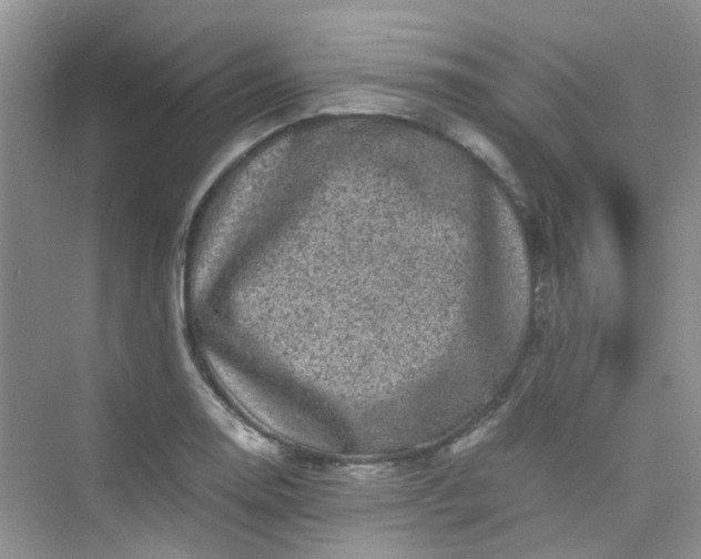 X0000075921130200609291817