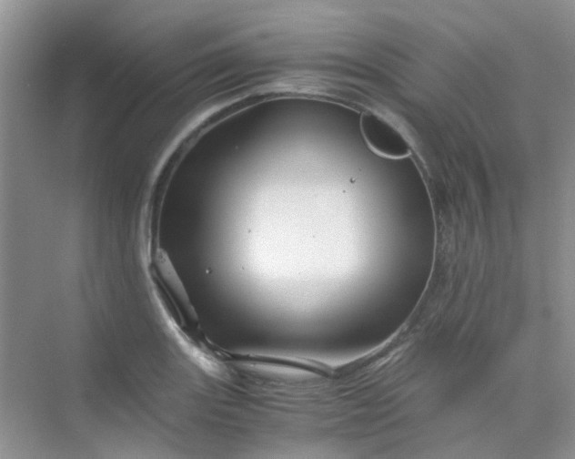 X0000075921131200609291817