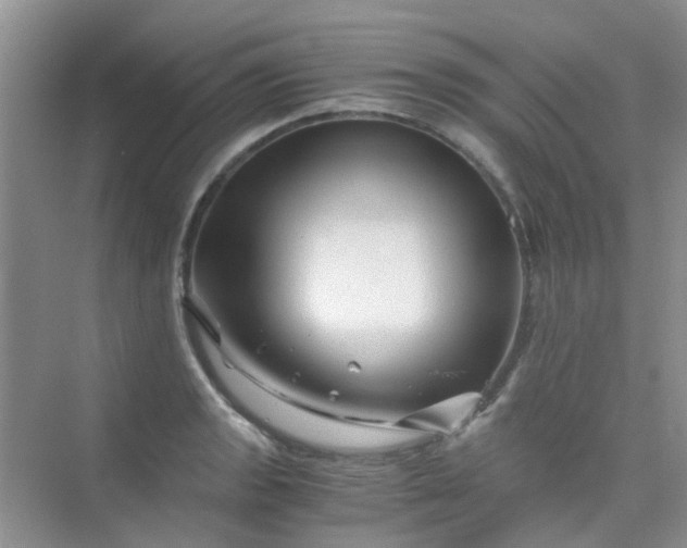 X0000075921133200609291817