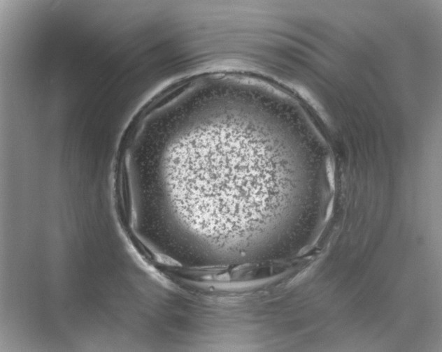 X0000075921134200609291817