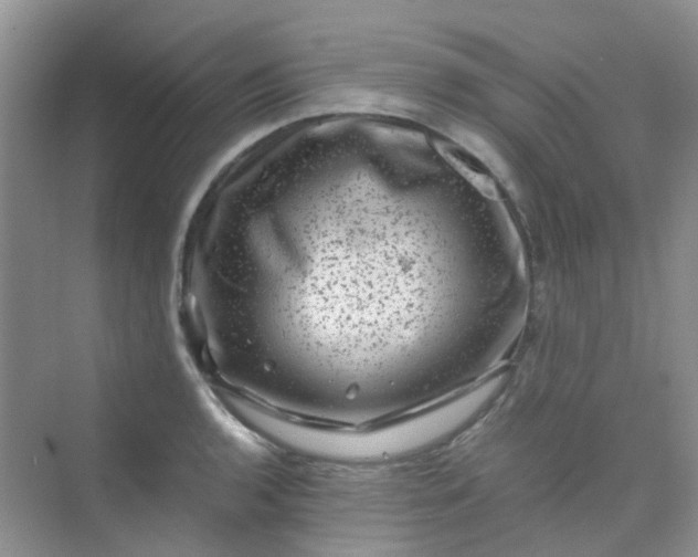 X0000075921136200609291817