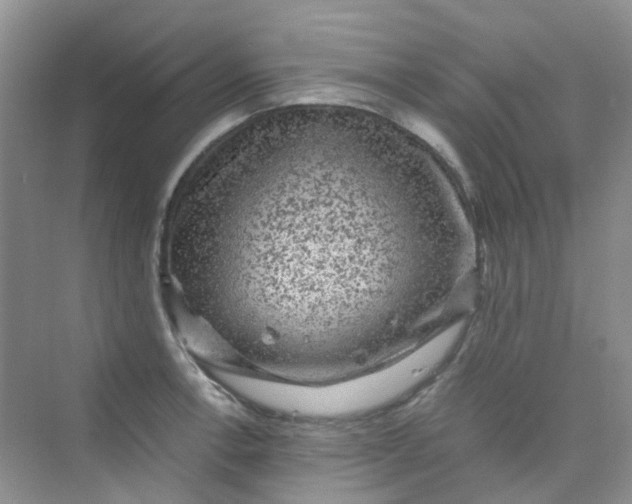 X0000075921138200609291817