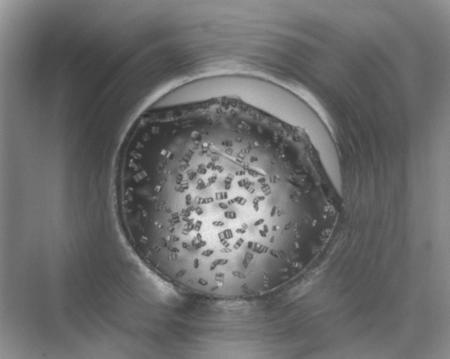 X0000075921142200609291818